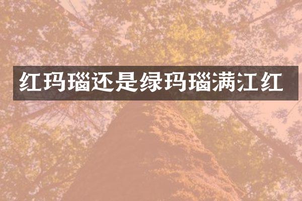 红玛瑙还是绿玛瑙满江红