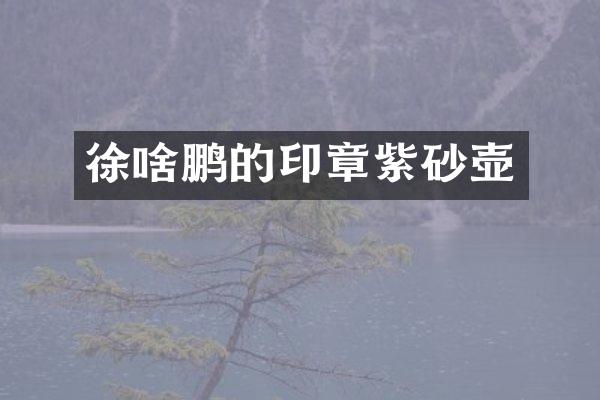 徐啥鹏的印章紫砂壶
