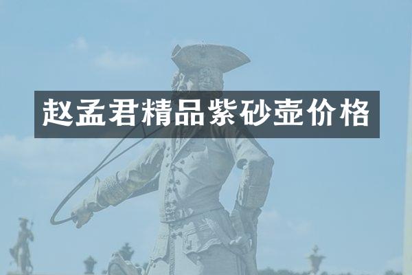 赵孟君精品紫砂壶价格