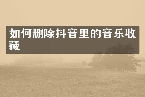 如何删除抖音里的音乐收藏