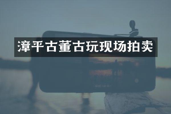 漳平古董古玩现场拍卖