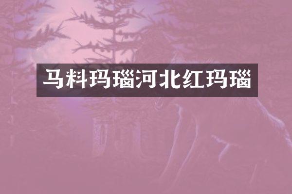 马料玛瑙河北红玛瑙