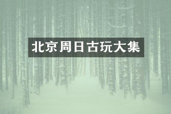 北京周日古玩大集