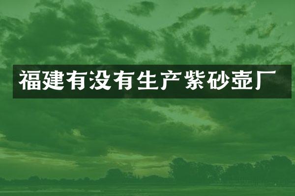 福建有没有生产紫砂壶厂