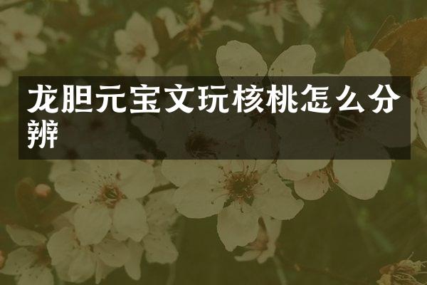 龙胆元宝文玩核桃怎么分辨