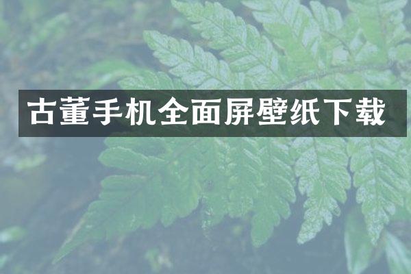 古董手机全面屏壁纸下载