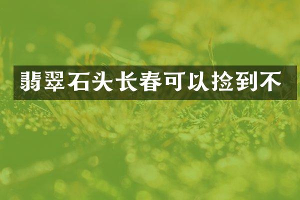 翡翠石头长春可以捡到不