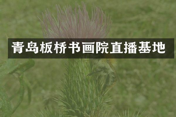 青岛板桥书画院直播基地