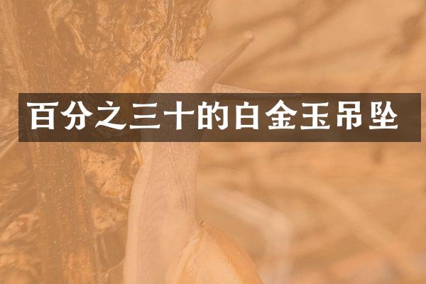 百分之三十的白金玉吊坠