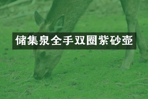 储集泉全手双圈紫砂壶