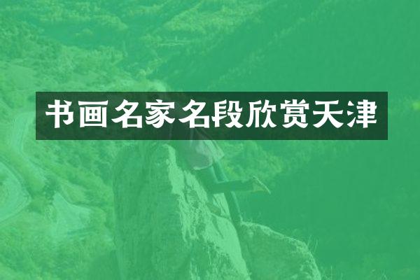 书画名家名段欣赏天津