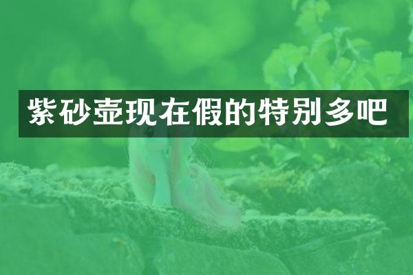 紫砂壶现在假的特别多吧