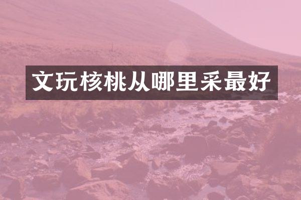 文玩核桃从哪里采最好