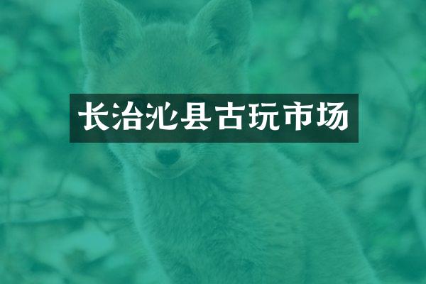 长治沁县古玩市场