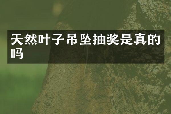 天然叶子吊坠抽奖是真的吗