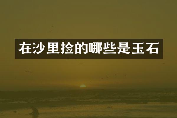 在沙里捡的哪些是玉石