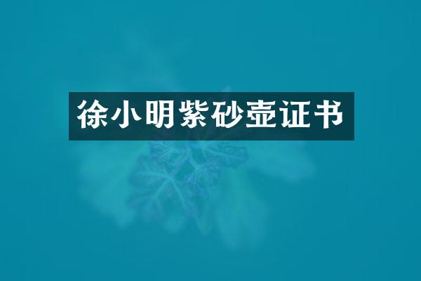 徐小明紫砂壶证书