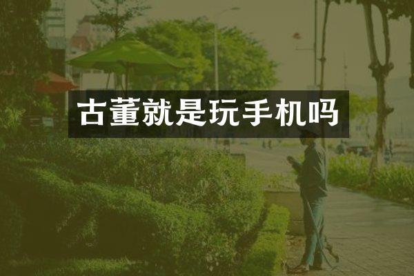 古董就是玩手机吗