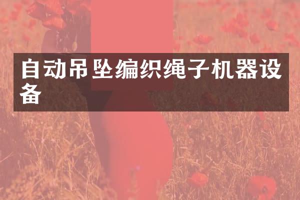 自动吊坠编织绳子机器设备