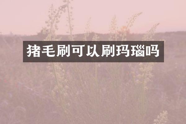 猪毛刷可以刷玛瑙吗