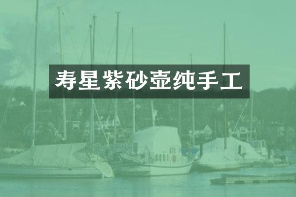 寿星紫砂壶纯手工