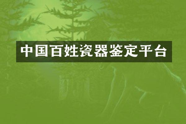 中国百姓瓷器鉴定平台
