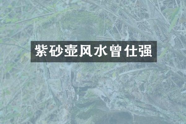 紫砂壶风水曾仕强