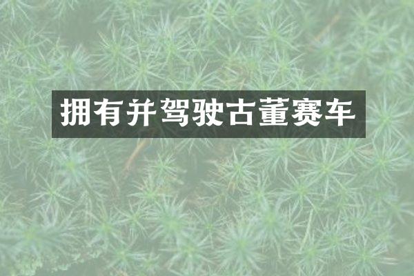 拥有并驾驶古董赛车