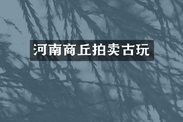 河南商丘拍卖古玩