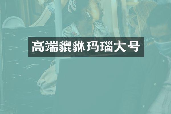 高端貔貅玛瑙大号