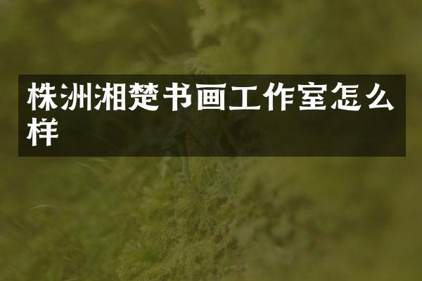 株洲湘楚书画工作室怎么样