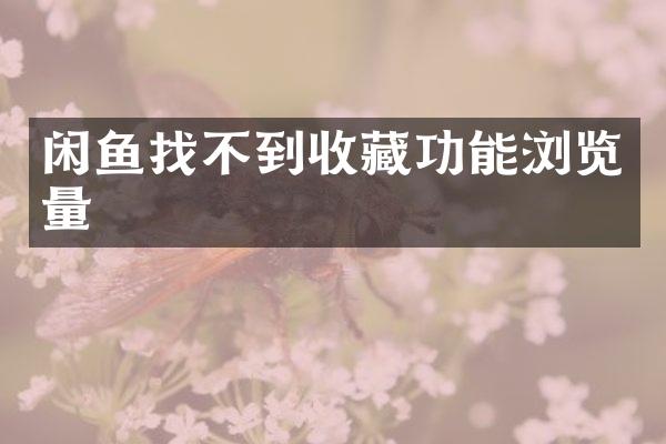 闲鱼找不到收藏功能浏览量