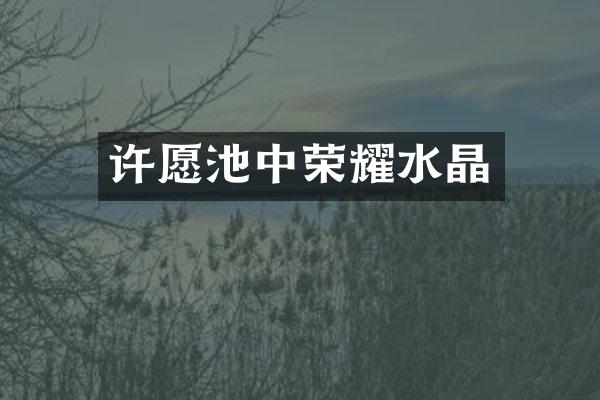 许愿池中荣耀水晶