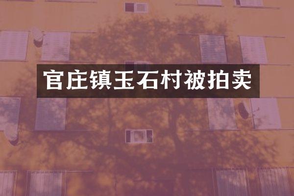 官庄镇玉石村被拍卖
