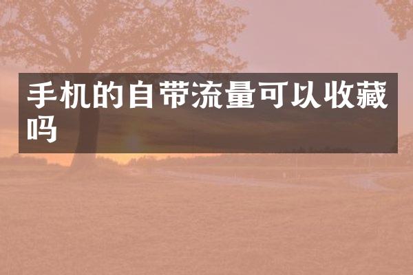 手机的自带流量可以收藏吗