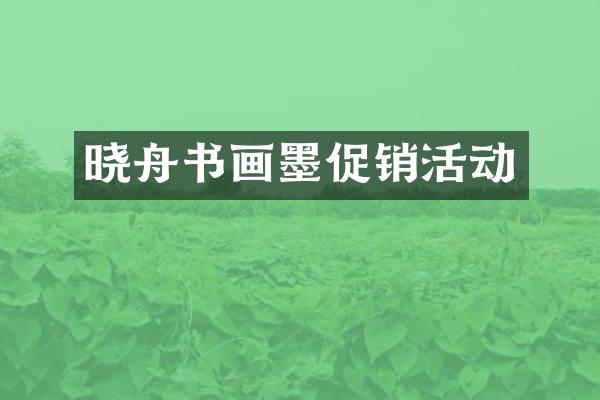 晓舟书画墨促销活动