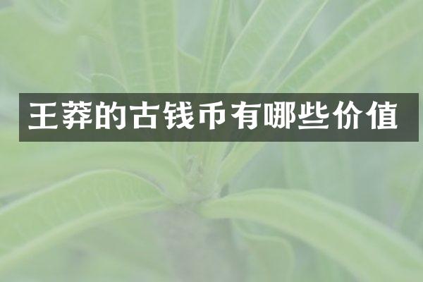 王莽的古钱币有哪些价值