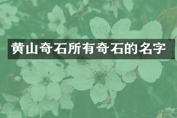 黄山奇石所有奇石的名字