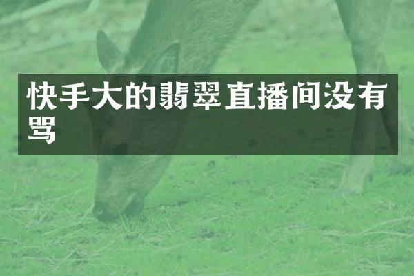 快手大的翡翠直播间没有骂