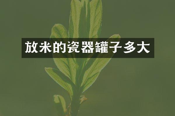 放米的瓷器罐子多大