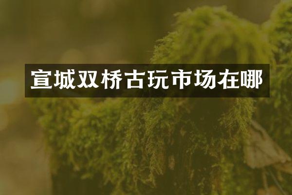 宣城双桥古玩市场在哪