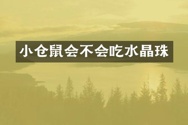 小仓鼠会不会吃水晶珠