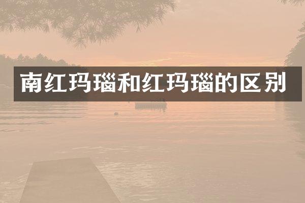 南红玛瑙和红玛瑙的区别