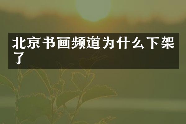 北京书画频道为什么下架了