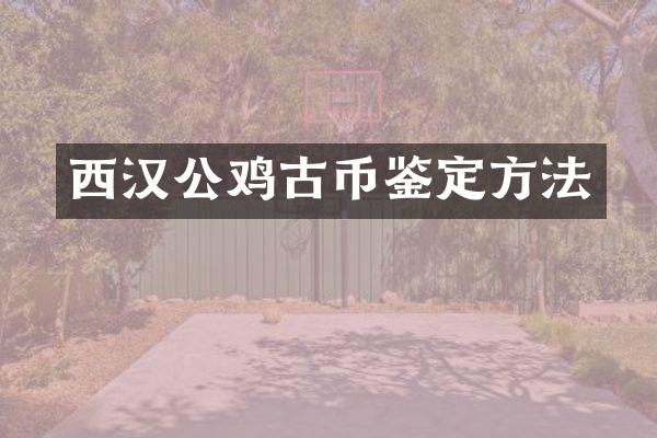 西汉公鸡古币鉴定方法