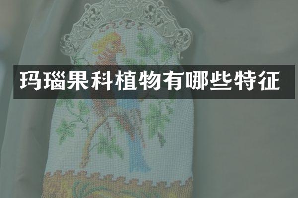 玛瑙果科植物有哪些特征