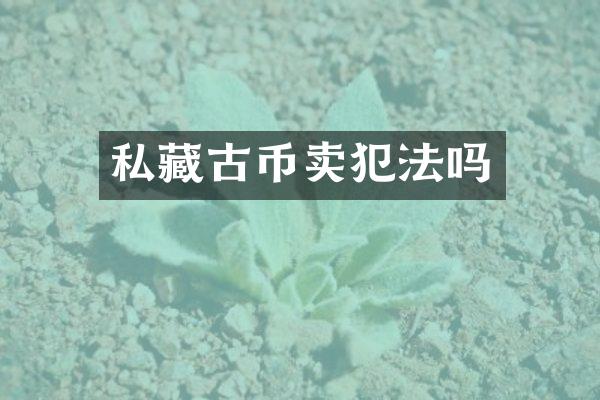 私藏古币卖犯法吗