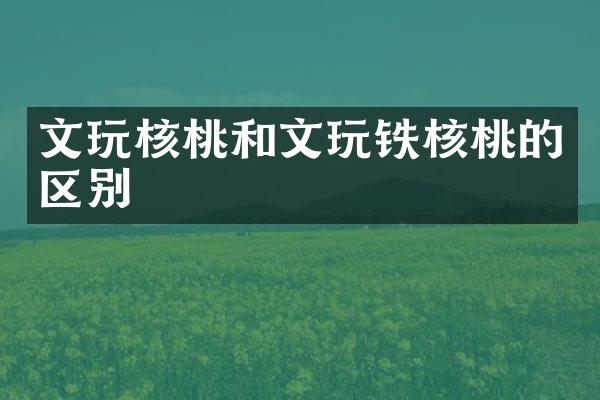 文玩核桃和文玩铁核桃的区别