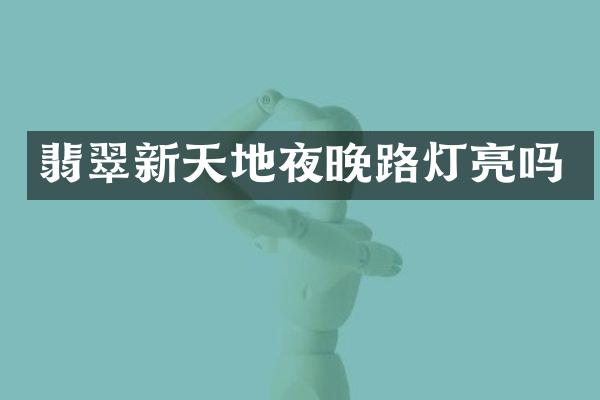 翡翠新天地夜晚路灯亮吗
