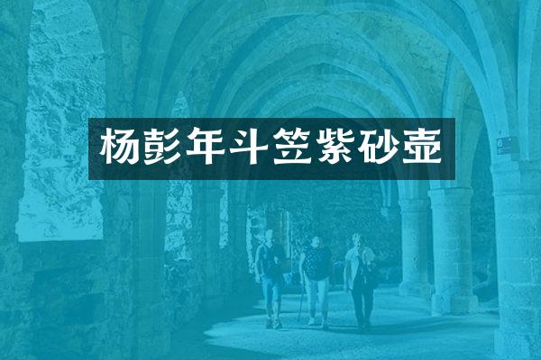杨彭年斗笠紫砂壶